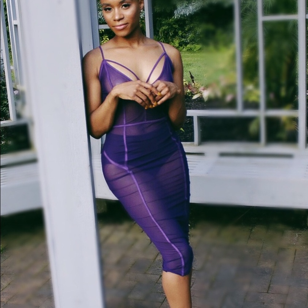 Plum Mesh Midi Dress